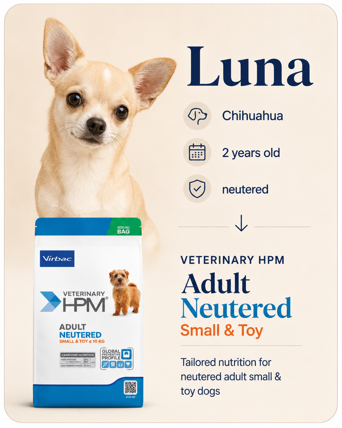 Luna, Chihuahua, 2 years old, neutered, recommended Veterinary HPM Adult Neutered Small and Toy