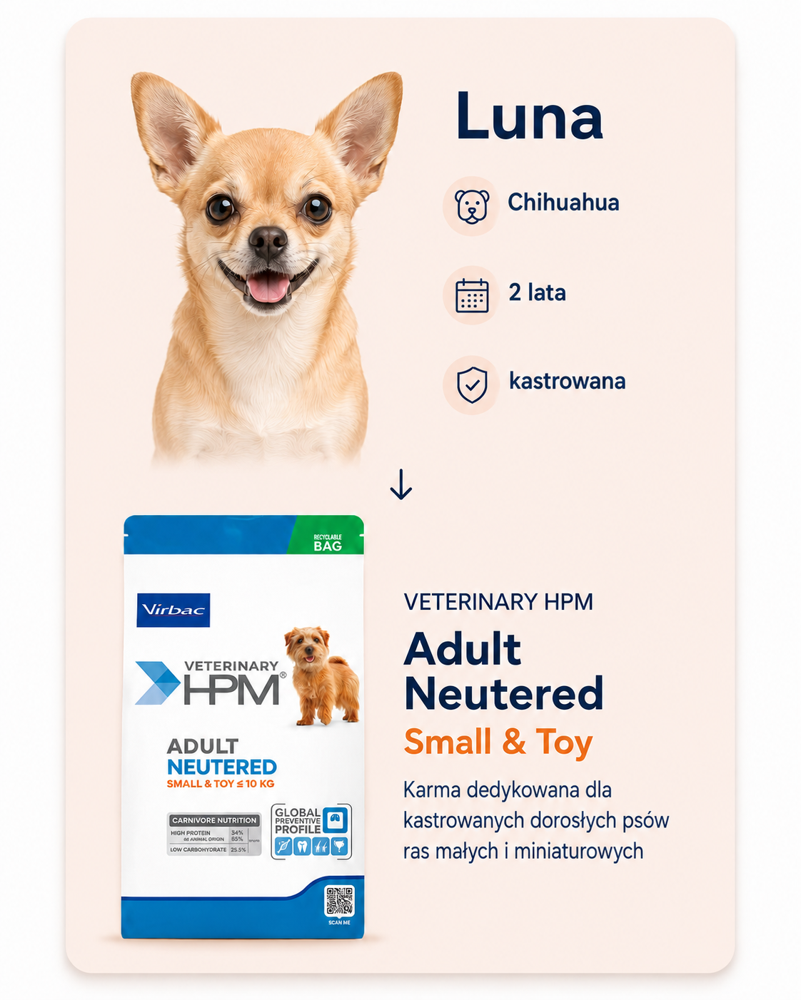 Luna, Chihuahua, 2 years old, neutered, recommended Veterinary HPM Adult Neutered Small and Toy