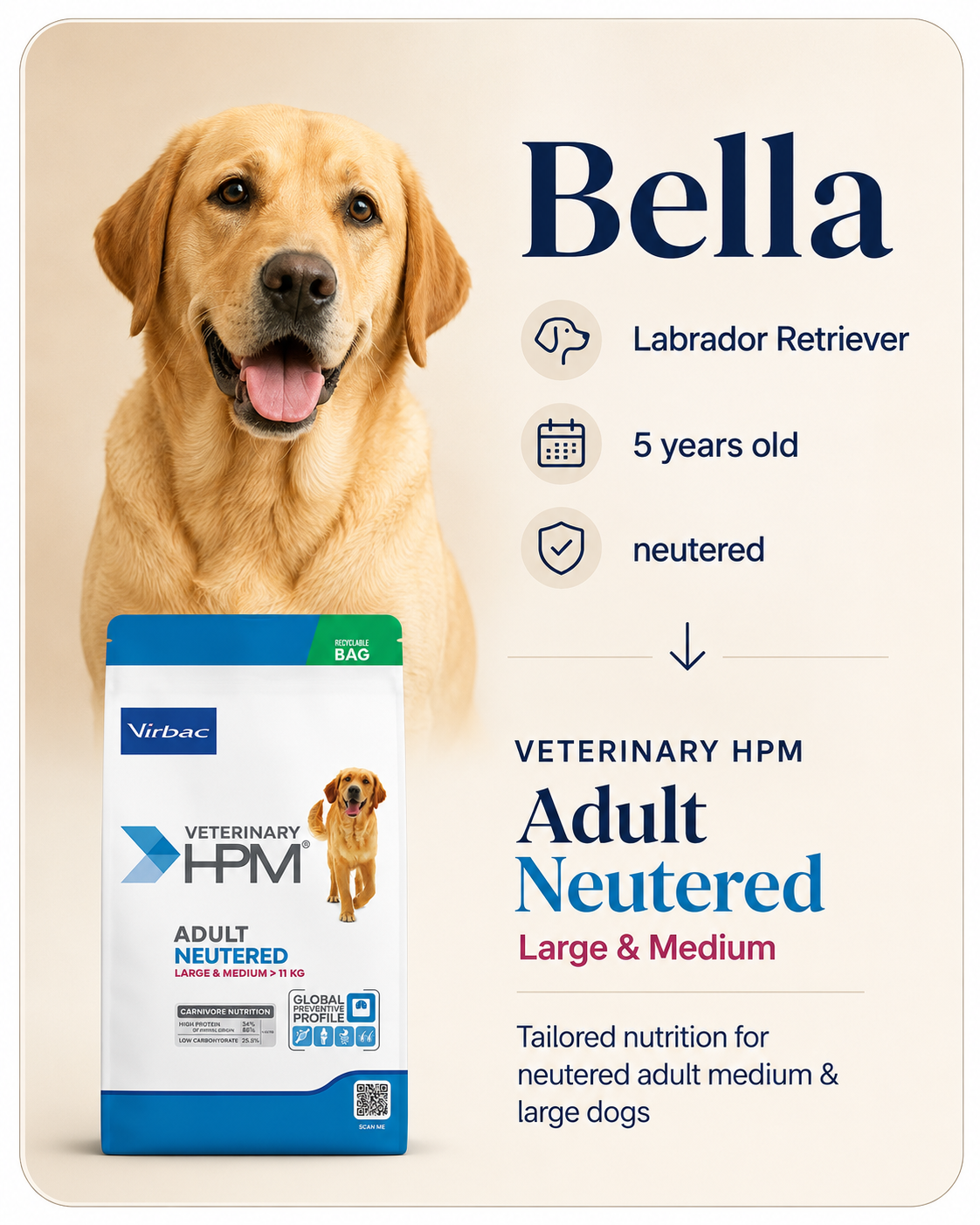 Bella, Labrador Retriever, 5 years old, sterilized, recommended Veterinary HPM Adult Neutered Large and Medium