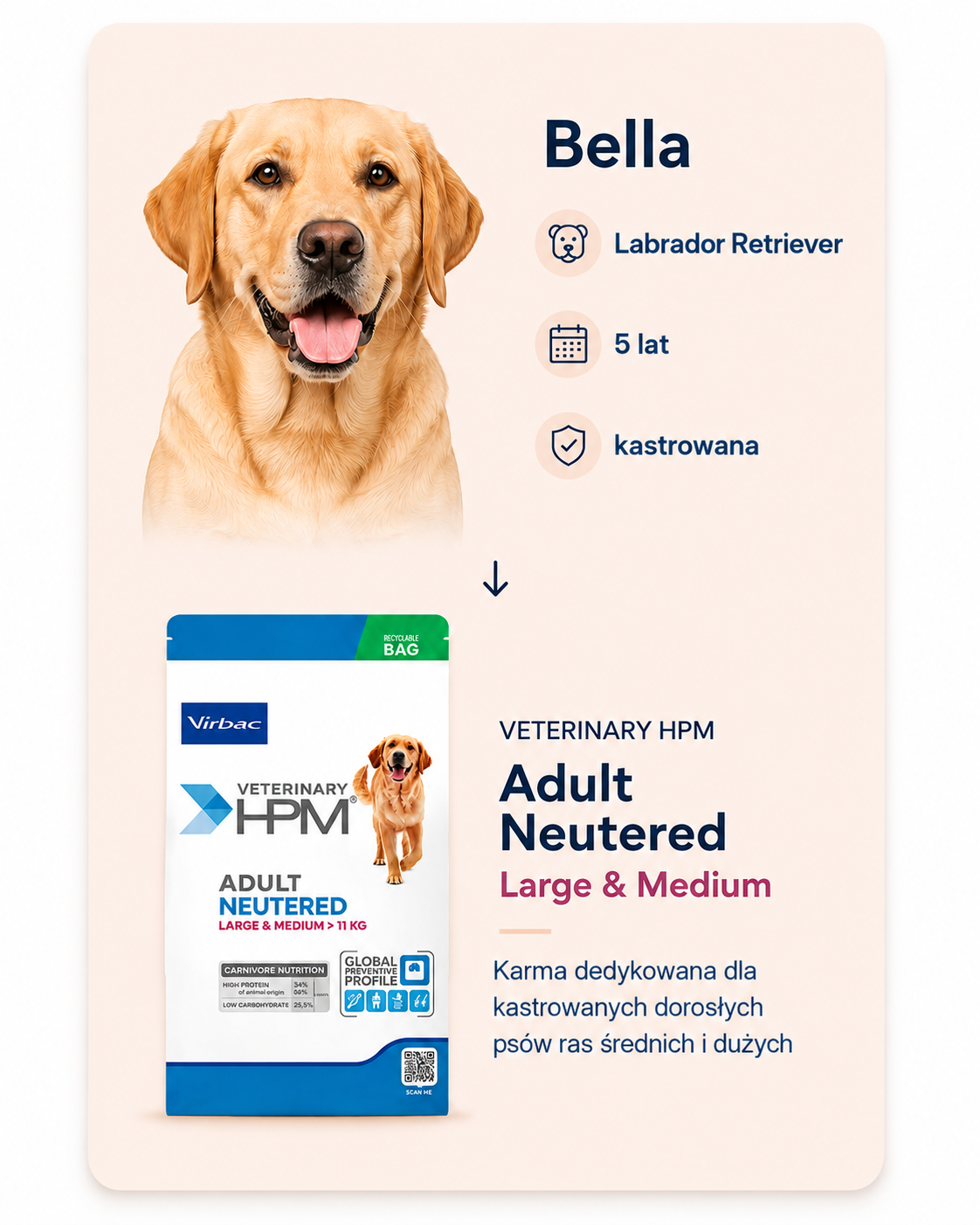 Bella, Labrador Retriever, 5 years old, sterilized, recommended Veterinary HPM Adult Neutered Large and Medium
