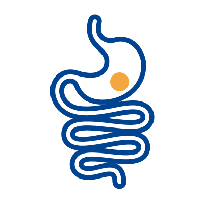 Illustration representing healthy digestion