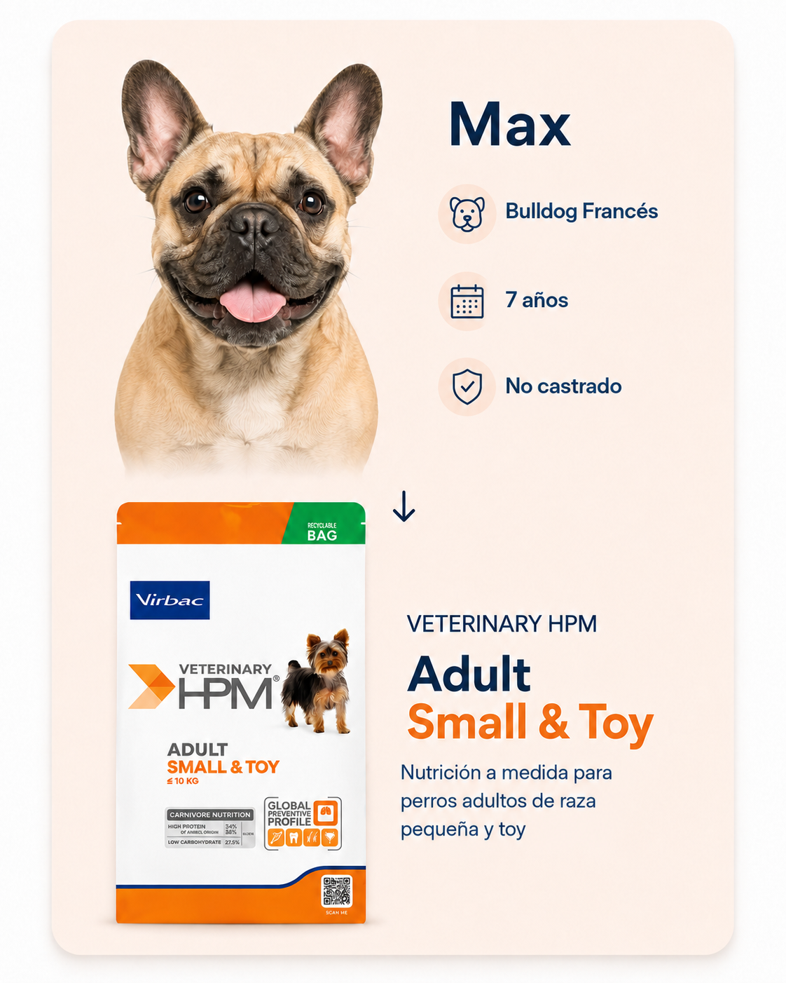 Max, Bulldog Francés, 7 años, no castrado. Nutrición a medida para perros adultos de raza pequeña y toy