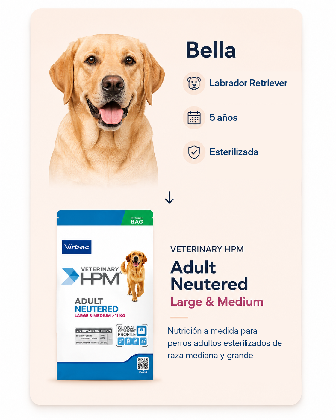 Bella, Labrador Retriever, 5 años, esterilizada. Nutrición a medida para perros adultos esterilizados de raza mediana y grande