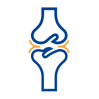 Illustration representing muscle mass and mobility support