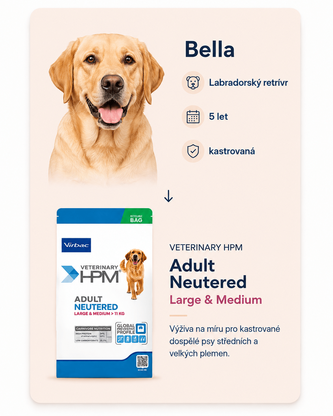 Bella, Labrador Retriever, 5 years old, sterilized, recommended Veterinary HPM Adult Neutered Large and Medium